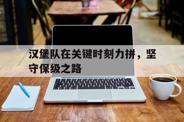 汉堡队在关键时刻力拼,坚守保级之路的简单介绍